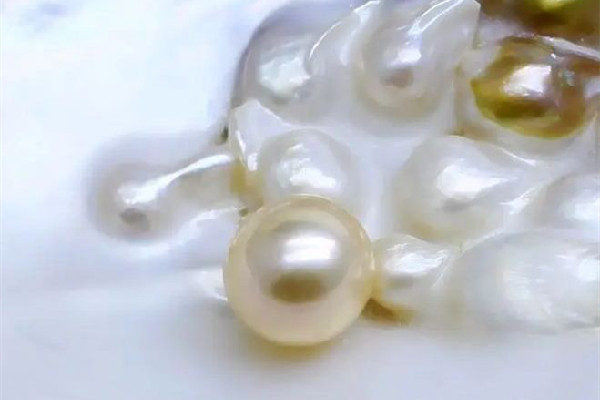 淡水珍珠和珍珠貝母哪個(gè)好 淡水珍珠什么顏色最珍貴 淡水珍珠和珍珠貝母哪個(gè)好 淡水珍珠什么顏色最珍貴