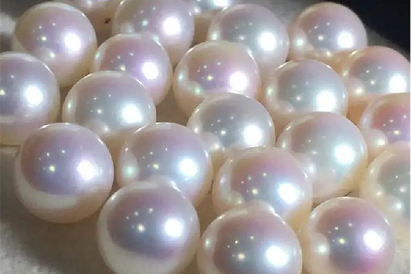 海水珍珠和淡水珍珠肉眼怎么區(qū)分 海水珍珠是天然的還是養(yǎng)殖的 海水珍珠和淡水珍珠肉眼怎么區(qū)分 海水珍珠是天然的還是養(yǎng)殖的
