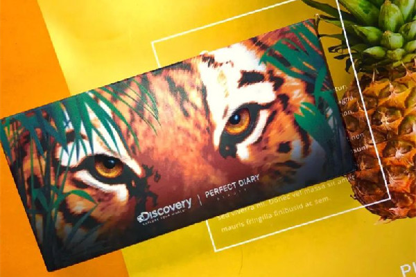 完美日記動(dòng)物眼影盤會(huì)飛粉嗎 完美日記動(dòng)物眼影盤和九色哪個(gè)好用 完美日記動(dòng)物眼影盤會(huì)飛粉嗎 完美日記動(dòng)物眼影盤和九色哪個(gè)好用