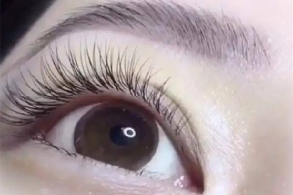 積玉橋春曉國際美容會所?君絲佳養(yǎng)發(fā)店做睫毛效果怎么樣 做睫毛自己睫毛會掉嗎 積玉橋春曉國際美容會所?君絲佳養(yǎng)發(fā)店做睫毛效果怎么樣 做睫毛自己睫毛會掉嗎