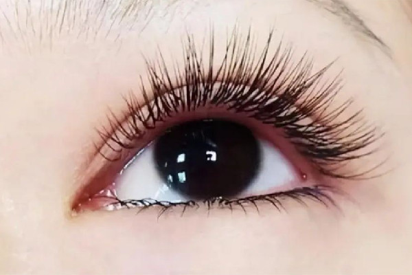 中南路YAMIER美學(xué)店可以補(bǔ)睫毛嗎 種睫毛掉了怎么補(bǔ) 中南路YAMIER美學(xué)店可以補(bǔ)睫毛嗎 種睫毛掉了怎么補(bǔ)