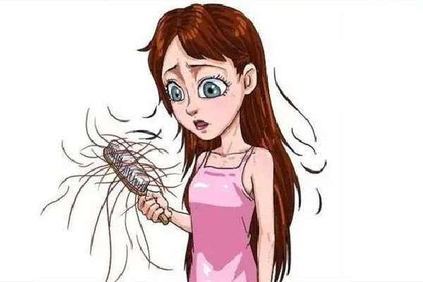 掉發(fā)有白色顆粒是什么 掉發(fā)有白色毛囊還會(huì)在長嗎