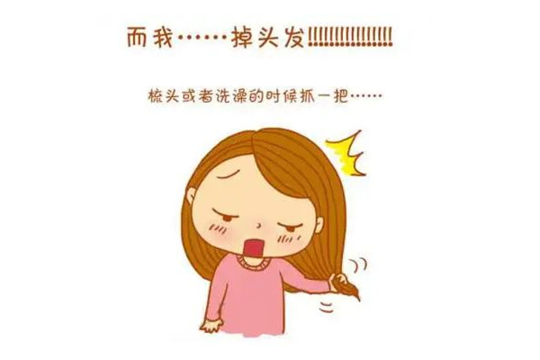 掉發(fā)會(huì)連著毛囊一起掉嗎 掉發(fā)會(huì)長出新頭發(fā)嗎