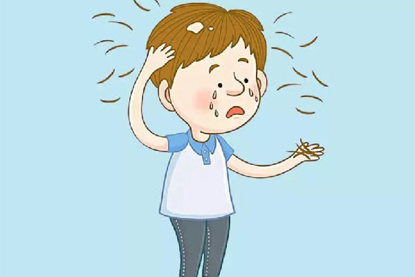 掉發(fā)可以用中藥調(diào)理嗎 掉發(fā)喝中藥要多久見(jiàn)效