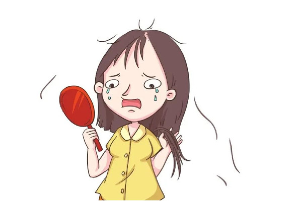 掉發(fā)會(huì)連著毛囊一起掉嗎 掉發(fā)會(huì)長出新頭發(fā)嗎