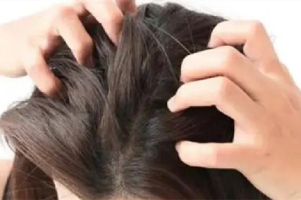 中南路蔤絲源Silk Origin新生養(yǎng)發(fā)美容中心頭發(fā)護(hù)理做的好嗎 頭發(fā)護(hù)理用什么 中南路蔤絲源Silk Origin新生養(yǎng)發(fā)美容中心頭發(fā)護(hù)理做的好嗎 頭發(fā)護(hù)理用什么