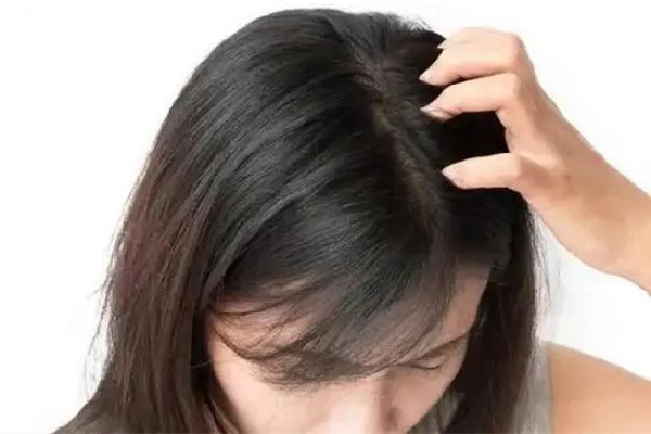 中南路蔤絲源Silk Origin新生養(yǎng)發(fā)美容中心頭發(fā)護(hù)理做的好嗎 頭發(fā)護(hù)理用什么 中南路蔤絲源Silk Origin新生養(yǎng)發(fā)美容中心頭發(fā)護(hù)理做的好嗎 頭發(fā)護(hù)理用什么