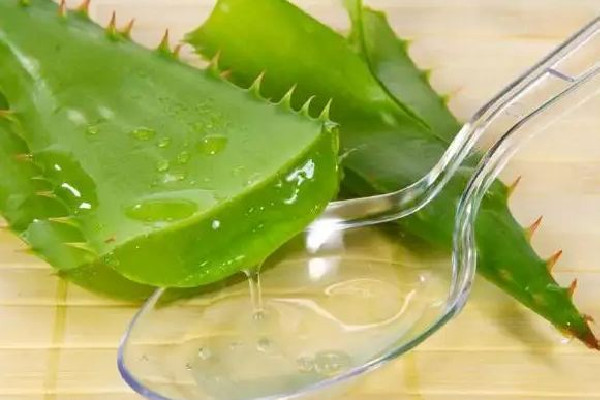 新鮮蘆薈擦臉會越來越黑嗎 新鮮蘆薈擦臉有什么副作用 新鮮蘆薈擦臉會越來越黑嗎 新鮮蘆薈擦臉有什么副作用