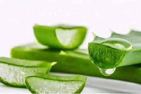 新鮮蘆薈擦臉多久洗掉 新鮮蘆薈擦臉不洗可以嗎 新鮮蘆薈擦臉多久洗掉 新鮮蘆薈擦臉不洗可以嗎