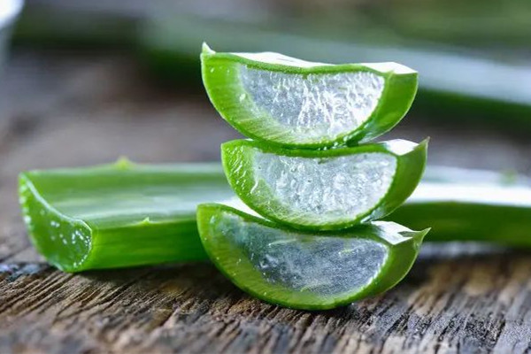 新鮮蘆薈怎樣制作蘆薈膠 新鮮蘆薈和雞蛋清可以敷臉嗎 新鮮蘆薈怎樣制作蘆薈膠 新鮮蘆薈和雞蛋清可以敷臉嗎