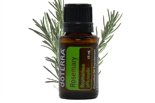 迷迭香精油真的能生發(fā)嗎 迷迭香精油可以直接涂抹頭發(fā)嗎