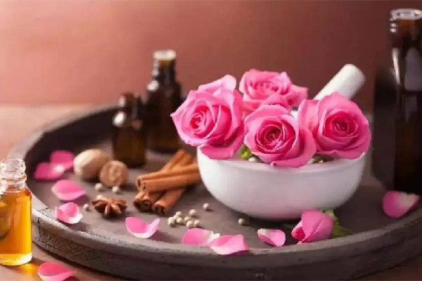 玫瑰精油可以用來刮痧嗎 玫瑰精油可以用蘆薈膠稀釋嗎 玫瑰精油可以用來刮痧嗎 玫瑰精油可以用蘆薈膠稀釋嗎