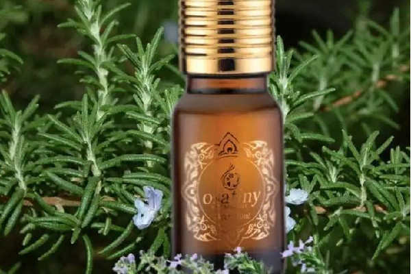 迷迭香精油適合什么膚質(zhì) 迷迭香精油可以用在臉上嗎 迷迭香精油適合什么膚質(zhì) 迷迭香精油可以用在臉上嗎