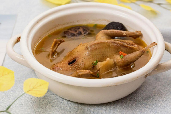 鴿子湯可以用高壓鍋燉嗎 鴿子湯用高壓鍋要燉多少時(shí)間 鴿子湯可以用高壓鍋燉嗎 鴿子湯用高壓鍋要燉多少時(shí)間