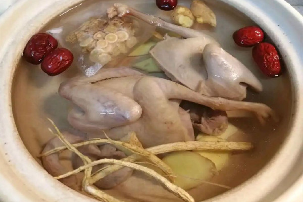 鴿子湯對(duì)傷口愈合有好處嗎 鴿子湯適合手術(shù)后的人喝嗎 鴿子湯對(duì)傷口愈合有好處嗎 鴿子湯適合手術(shù)后的人喝嗎