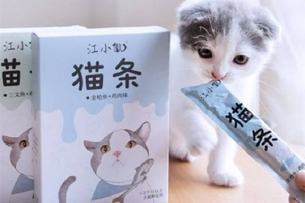 貓條是零食還是主食 貓條吃多了會怎樣 貓條是零食還是主食 貓條吃多了會怎樣