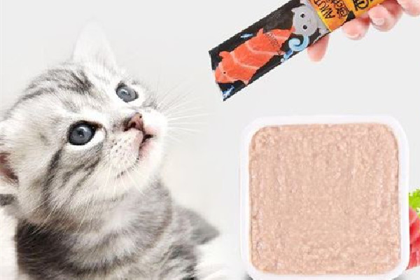 貓條會讓貓咪上癮嗎 貓條拌貓糧可以每天都喂嗎 貓條會讓貓咪上癮嗎 貓條拌貓糧可以每天都喂嗎