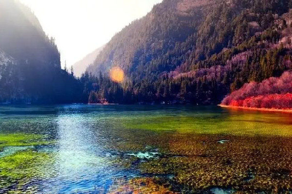 跨省跟團游訂單量增長255% 跨省旅游有限制嗎 跨省跟團游訂單量增長255% 跨省旅游有限制嗎