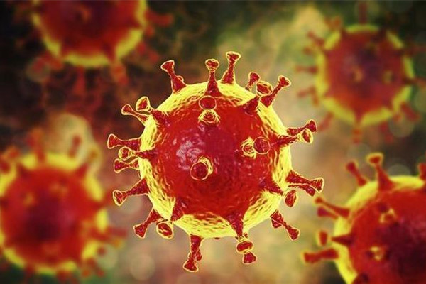 專家:國(guó)產(chǎn)新冠口服藥或再降價(jià) 新冠口服藥可以代替疫苗嗎 專家:國(guó)產(chǎn)新冠口服藥或再降價(jià) 新冠口服藥可以代替疫苗嗎