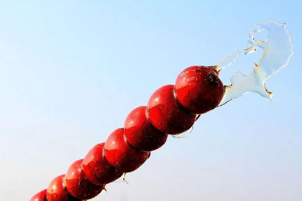 冰糖葫蘆為什么會化成水 冰糖葫蘆為什么冬天才有 冰糖葫蘆為什么會化成水 冰糖葫蘆為什么冬天才有