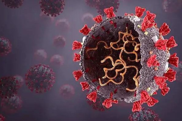 專家:國(guó)產(chǎn)新冠口服藥或再降價(jià) 新冠口服藥可以代替疫苗嗎 專家:國(guó)產(chǎn)新冠口服藥或再降價(jià) 新冠口服藥可以代替疫苗嗎