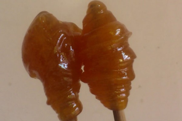 麥芽糖可以止咳化痰嗎 麥芽糖可以泡水喝嗎 麥芽糖可以止咳化痰嗎 麥芽糖可以泡水喝嗎