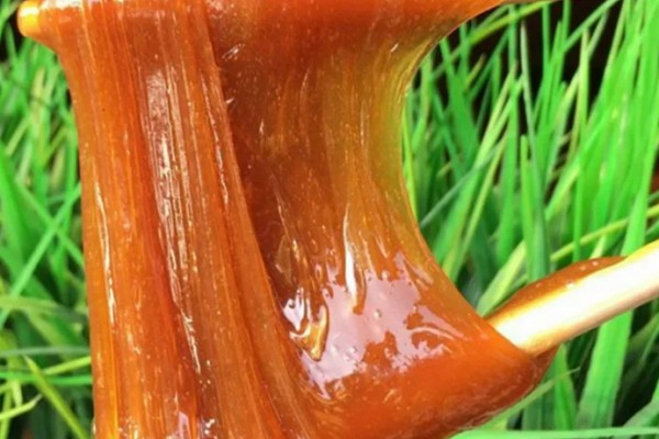 麥芽糖燉肉起什么作用 麥芽糖燉肉會(huì)發(fā)苦嗎 麥芽糖燉肉起什么作用 麥芽糖燉肉會(huì)發(fā)苦嗎