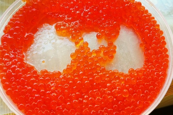 魚籽是魚的什么 魚籽是母魚才會有嗎 魚籽是魚的什么 魚籽是母魚才會有嗎