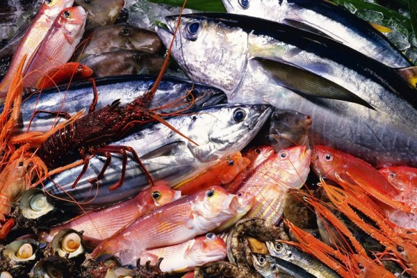 男子400元買海鮮解凍全是空殼 買海鮮需要注意什么 男子400元買海鮮解凍全是空殼 買海鮮需要注意什么