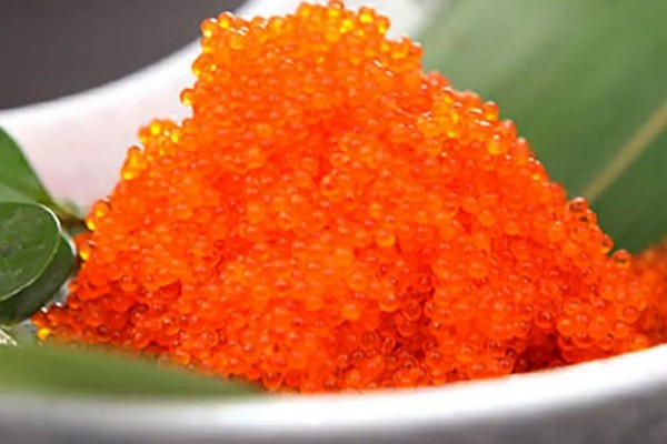 魚籽是魚的什么 魚籽是母魚才會有嗎 魚籽是魚的什么 魚籽是母魚才會有嗎