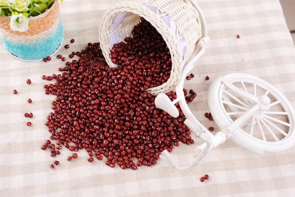 紅豆怎么保存不生蟲 紅豆放了三年還能吃嗎 紅豆怎么保存不生蟲 紅豆放了三年還能吃嗎