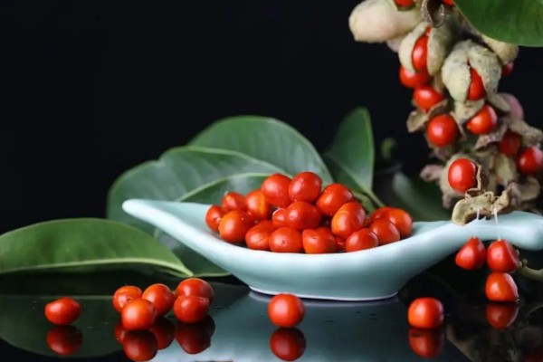 紅豆適合什么體質的人吃 紅豆適合糖尿病人吃嗎 紅豆適合什么體質的人吃 紅豆適合糖尿病人吃嗎