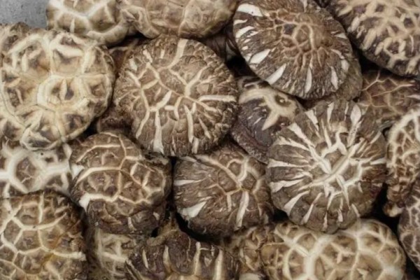 花菇和香菇的營(yíng)養(yǎng)價(jià)值一樣嗎 花菇是香菇嗎 花菇和香菇的營(yíng)養(yǎng)價(jià)值一樣嗎 花菇是香菇嗎