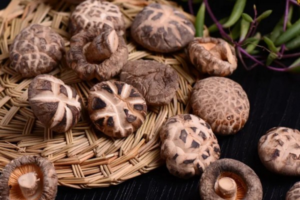 花菇可以用熱水泡嗎 花菇用什么水泡發(fā) 花菇可以用熱水泡嗎 花菇用什么水泡發(fā)