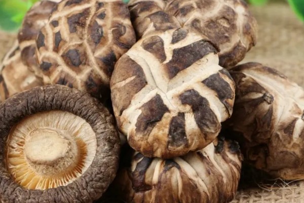 花菇會(huì)過(guò)期嗎 花菇過(guò)期了還能不能吃 花菇會(huì)過(guò)期嗎 花菇過(guò)期了還能不能吃