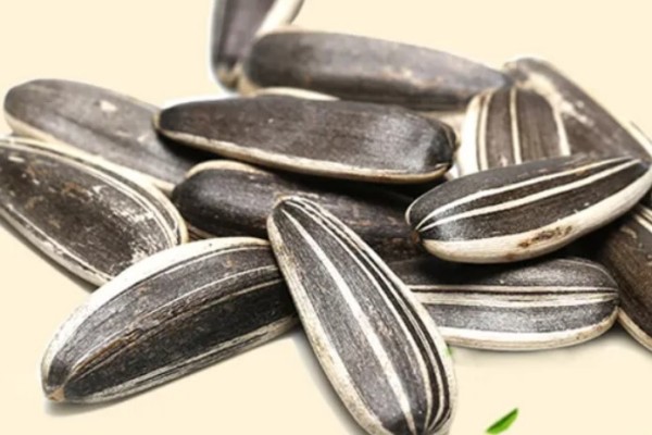 葵瓜子怎么煮才好吃 葵瓜子生吃的好還是熟吃好 葵瓜子怎么煮才好吃 葵瓜子生吃的好還是熟吃好