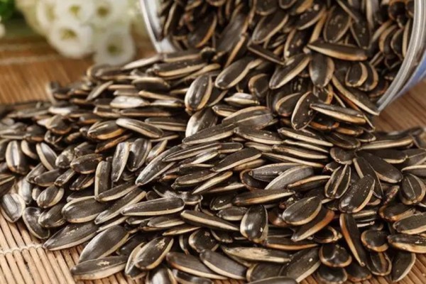 葵瓜子和南瓜子哪個更容易發(fā)胖 葵瓜子一天吃多少合適 葵瓜子和南瓜子哪個更容易發(fā)胖 葵瓜子一天吃多少合適