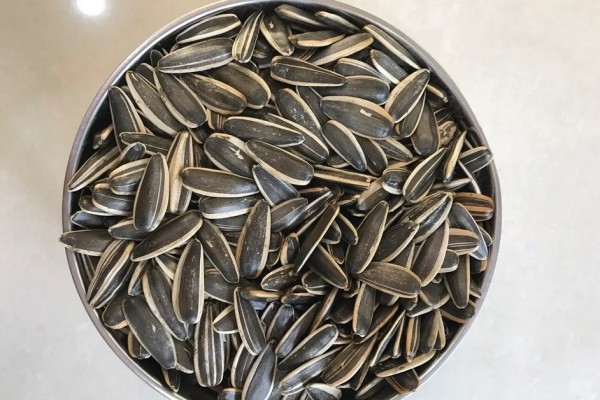 葵瓜子有助于睡眠嗎 葵瓜子可以多吃嗎 葵瓜子有助于睡眠嗎 葵瓜子可以多吃嗎