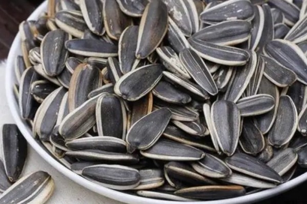 葵瓜子含有雌激素嗎 葵瓜子減肥可以吃嗎 葵瓜子含有雌激素嗎 葵瓜子減肥可以吃嗎