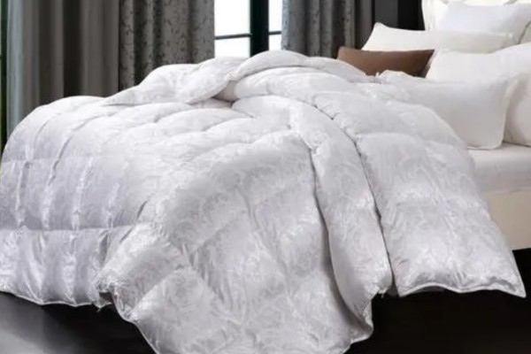 羽絨被的價(jià)格一般是多少 羽絨被哪個(gè)牌子好 羽絨被的價(jià)格一般是多少 羽絨被哪個(gè)牌子好