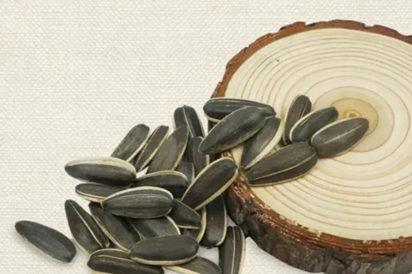 葵瓜子的營(yíng)養(yǎng)價(jià)值和功效 葵瓜子的熱量高嗎 葵瓜子的營(yíng)養(yǎng)價(jià)值和功效 葵瓜子的熱量高嗎