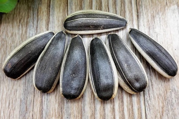 葵瓜子吃多了上火嗎 葵瓜子會導(dǎo)致過敏嗎 葵瓜子吃多了上火嗎 葵瓜子會導(dǎo)致過敏嗎