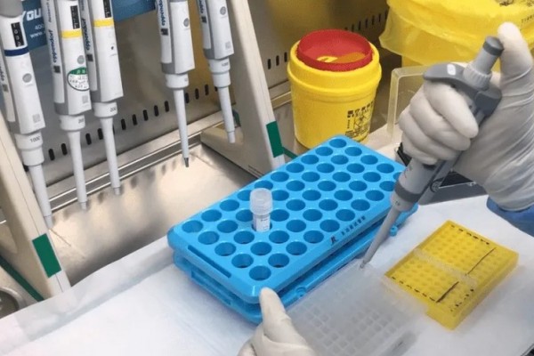 媒體:核酸亂象不止疫情永無寧日 核酸檢測(cè)上的棉簽有什么成分