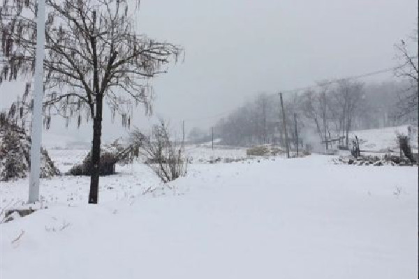 冷空氣發(fā)威上海已見初雪 下雪要注意什么 冷空氣發(fā)威上海已見初雪 下雪要注意什么