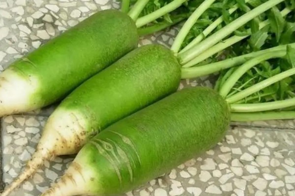 綠蘿卜的熱量 綠蘿卜可以減肥嗎 綠蘿卜的熱量 綠蘿卜可以減肥嗎