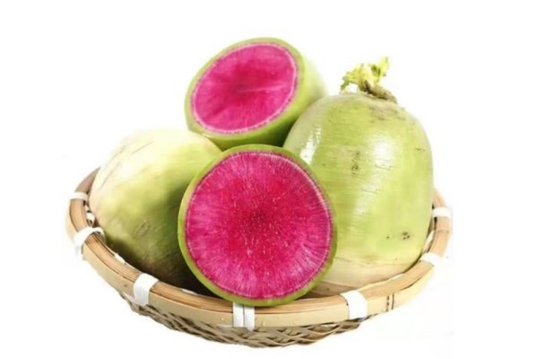 綠蘿卜要焯水嗎 綠蘿卜怎么焯水才好吃 綠蘿卜要焯水嗎 綠蘿卜怎么焯水才好吃