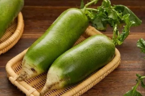 綠蘿卜怎么保存時(shí)間長(zhǎng)還新鮮 綠蘿卜放久了還能吃嗎