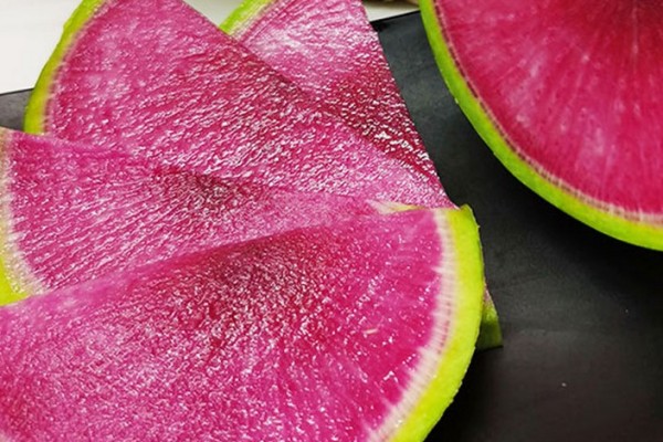 綠蘿卜的作用和功效 綠蘿卜可以做泡菜嗎 綠蘿卜的作用和功效 綠蘿卜可以做泡菜嗎