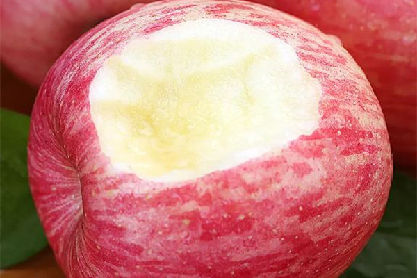 紅富士蘋(píng)果吃起來(lái)怎么樣 紅富士蘋(píng)果有什么營(yíng)養(yǎng)價(jià)值 紅富士蘋(píng)果吃起來(lái)怎么樣 紅富士蘋(píng)果有什么營(yíng)養(yǎng)價(jià)值