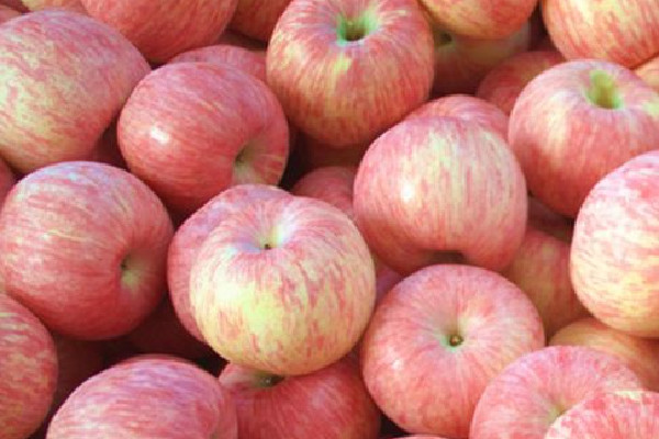 蘋果吃多了胃不舒服怎么辦 蘋果一天吃幾個(gè)最好 蘋果吃多了胃不舒服怎么辦 蘋果一天吃幾個(gè)最好